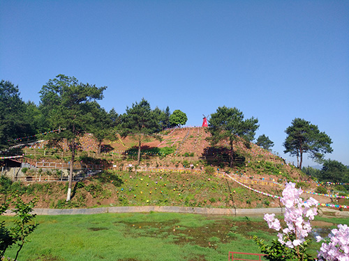 風車節實景